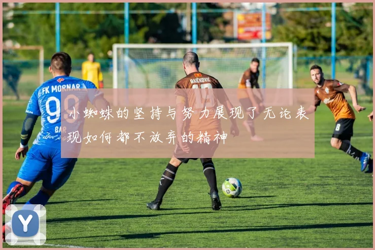 小蜘蛛的坚持与努力展现了无论表现如何都不放弃的精神