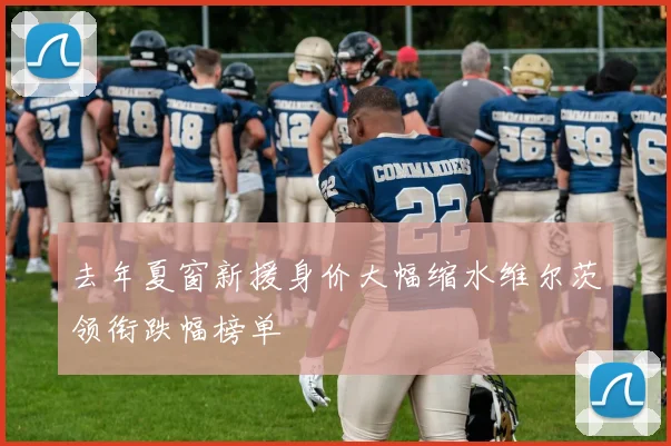 去年夏窗新援身价大幅缩水维尔茨领衔跌幅榜单