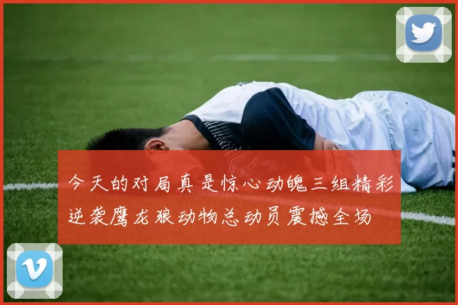 今天的对局真是惊心动魄三组精彩逆袭鹰龙狼动物总动员震撼全场