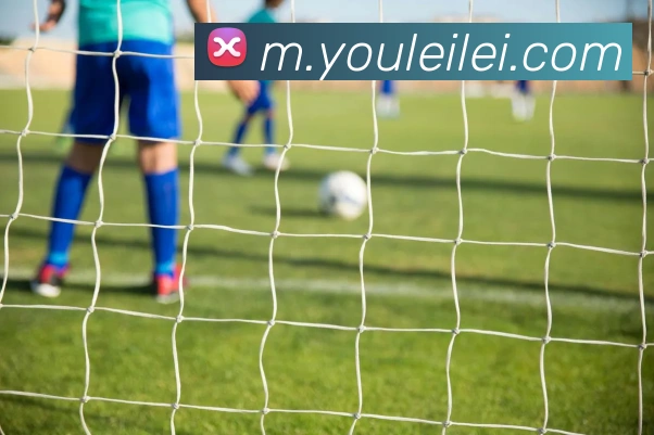 mksports官网登录APP 体育赛事宣传图